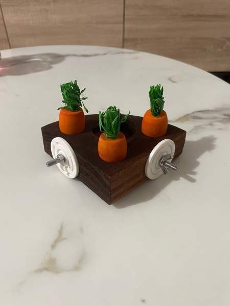 Kanin aktivointilelu Валкеакоски - изображение 2