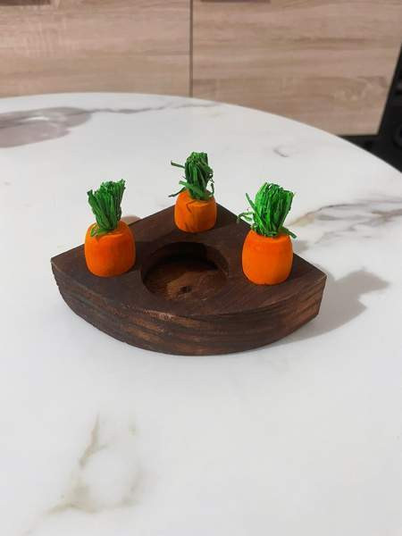 Kanin aktivointilelu Валкеакоски - изображение 1