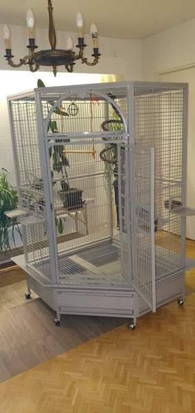 Lintuhäkki iso Оулу - изображение 3