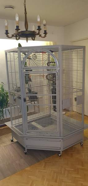 Lintuhäkki iso Оулу - изображение 1