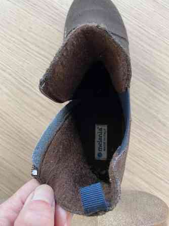 Talvinilkkurit Kaarina