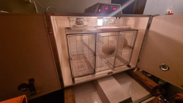 Hautomakone ja kuoriutumiskone Nurmijaervi - photo 4