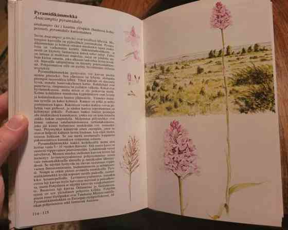 Pohjolan kämmekät Ilomantsi