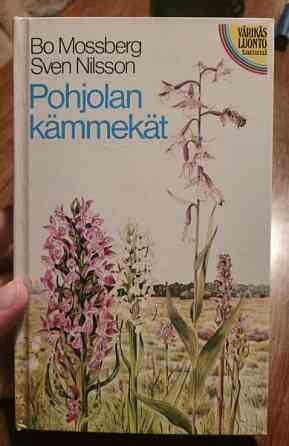 Pohjolan kämmekät Ilomantsi