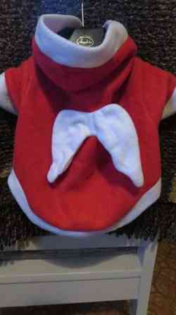 Pienen koiran jouluasu Eurajoki