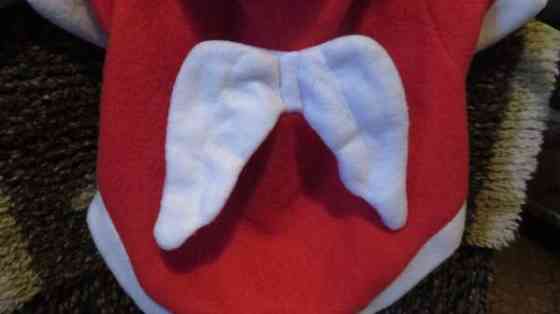 Pienen koiran jouluasu Eurajoki