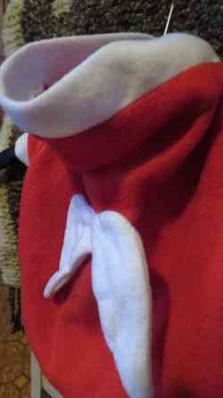 Pienen koiran jouluasu Eurajoki