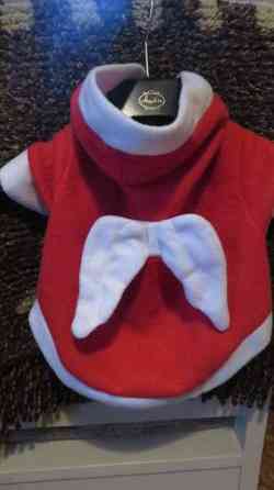 Pienen koiran jouluasu Eurajoki