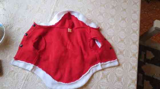 Pienen koiran jouluasu Eurajoki