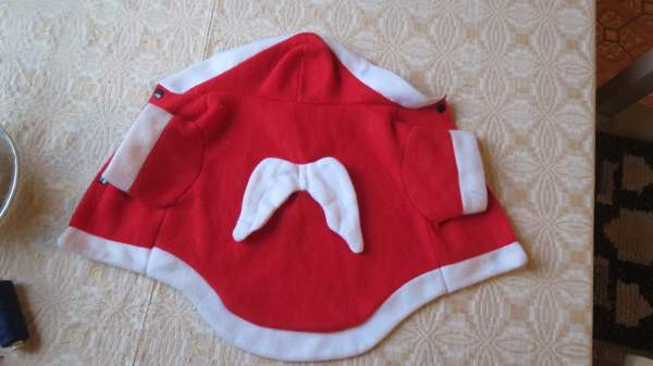 Pienen koiran jouluasu Eurajoki - изображение 8