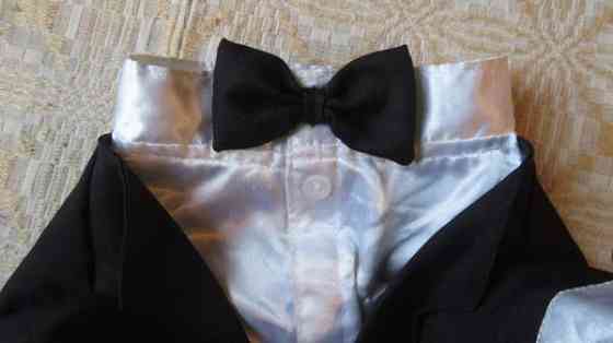 Pienen koiran frakkiasu Eurajoki