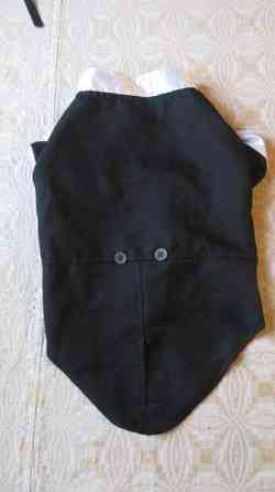 Pienen koiran frakkiasu Eurajoki