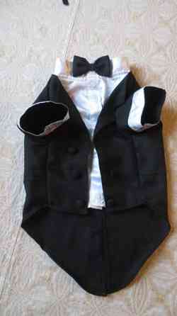 Pienen koiran frakkiasu Eurajoki