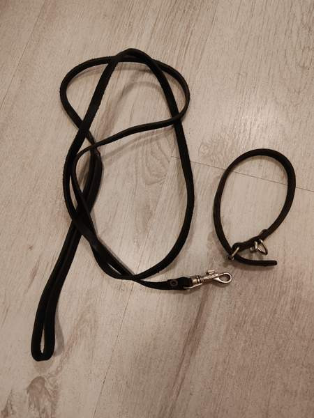 Panta ja hihna pienelle koiralle Keminmaa - valokuva 1