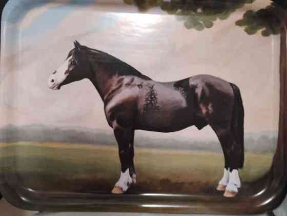 Hevostarjotin Heinola