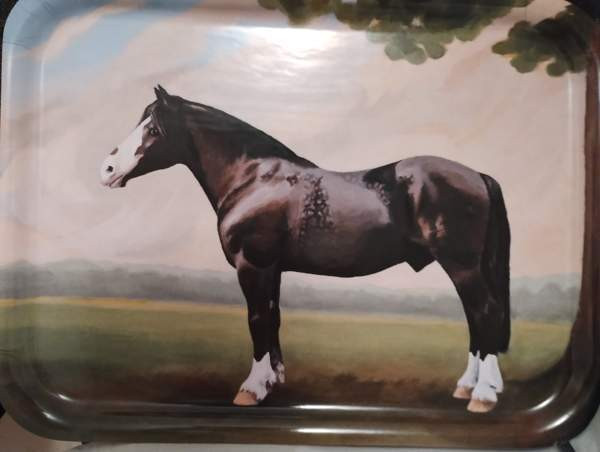 Hevostarjotin Heinola - photo 1