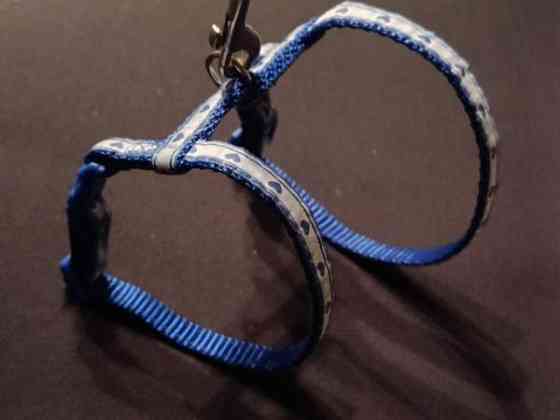 Kissan valjaat ja talutushihna Eura