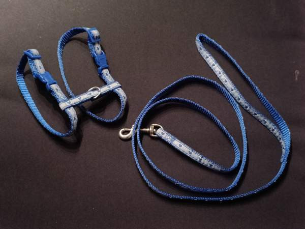 Kissan valjaat ja talutushihna Eura - valokuva 1