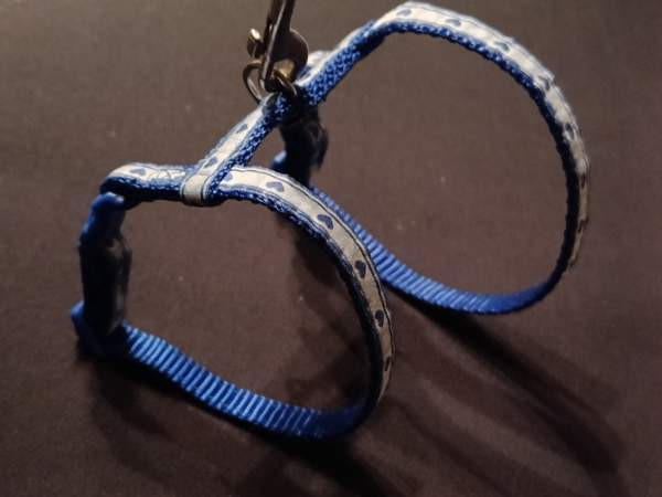 Kissan valjaat ja talutushihna Eura - valokuva 3