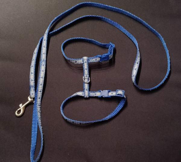 Kissan valjaat ja talutushihna Eura - valokuva 2