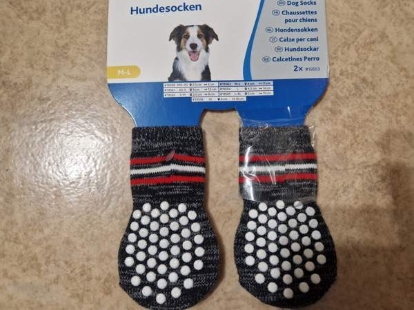 Koiran sukat Vaasa - valokuva 1