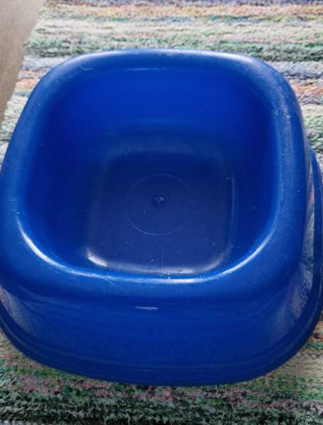 Koiran ruokakuppi Iisalmi – foto 1