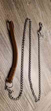 Pienen koiran metallinen talutushihna, hyvä Iisalmi