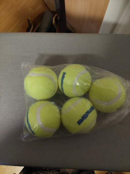 Koiran pallot UUSI Espoo - valokuva 1