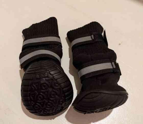 Koiran kovapohjaiset tossut, koko 5cm x 5,5cm Kuopio