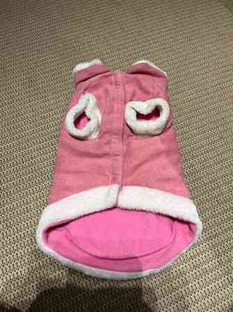 Koiran Prinsessa takki Вихти