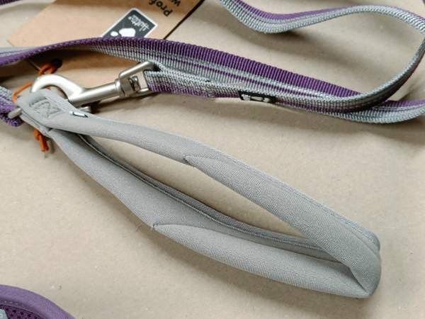 Hurtta kaulapanta ja talutin Eura – foto 4