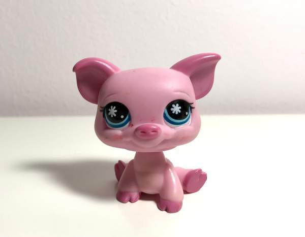 Lps possu Helsinki - photo 1