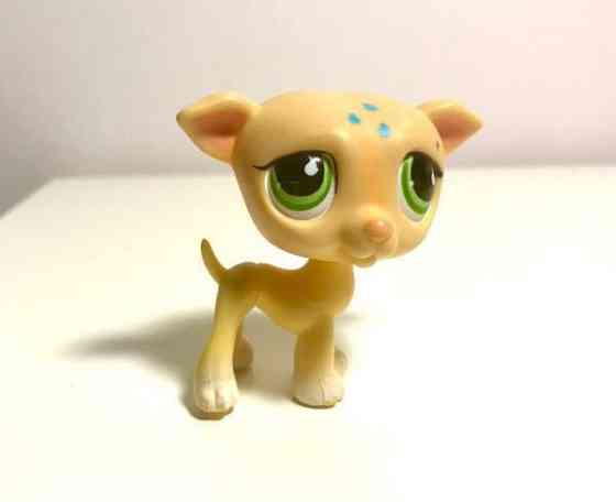 Lps vinttikoira Helsinki