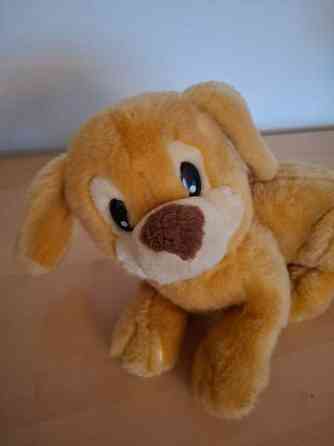 Isosilmäinen pehmoeläin Turku