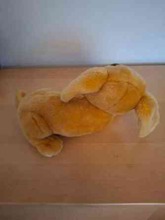 Isosilmäinen pehmoeläin Turku