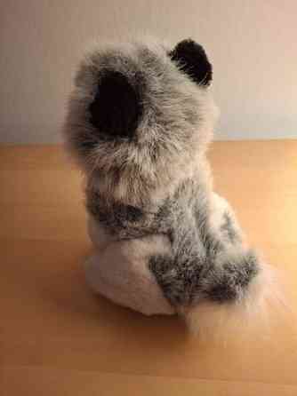 Harmaa-valkoinen koira, mustat korvat Turku