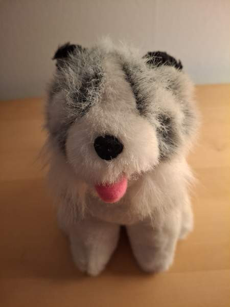 Harmaa-valkoinen koira, mustat korvat Turku - photo 2