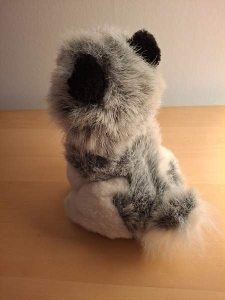 Harmaa-valkoinen koira, mustat korvat Turku - photo 4