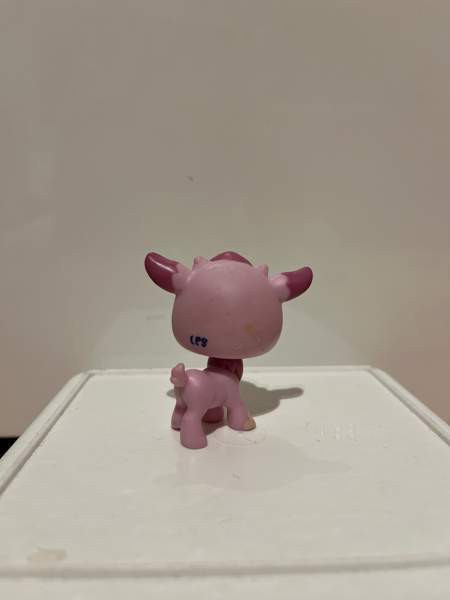 LPS Vuohi Tampere - valokuva 2