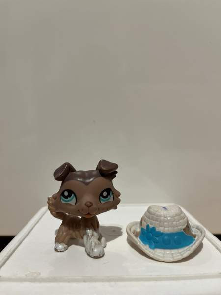 LPS Collie Tampere - photo 2