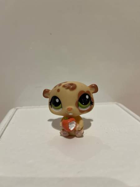 LPS Hamsteri Tampere – foto 1