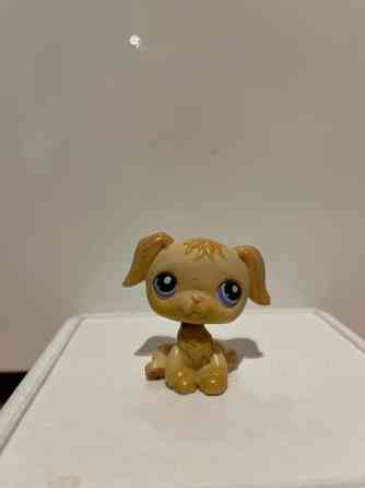 LPS Kultainen noutaja Tampere