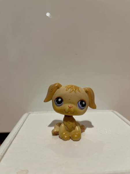 LPS Kultainen noutaja Tampere - valokuva 1