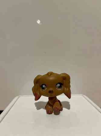 LPS Cockerspanieli Tampere