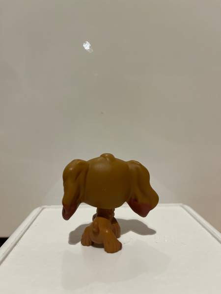 LPS Cockerspanieli Tampere - valokuva 2