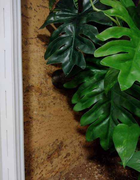 PVC-terraarioita Kankaanpää - valokuva 2