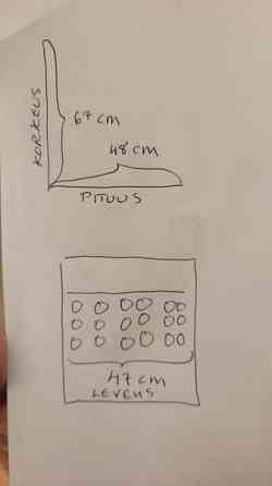 Meikkiteline, testeriteline Kaarina