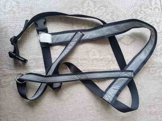 Koiran valjaat, heijastinvaljaat Raasepori