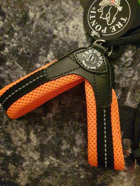 Pienen koiran valjaat Kotka - photo 1