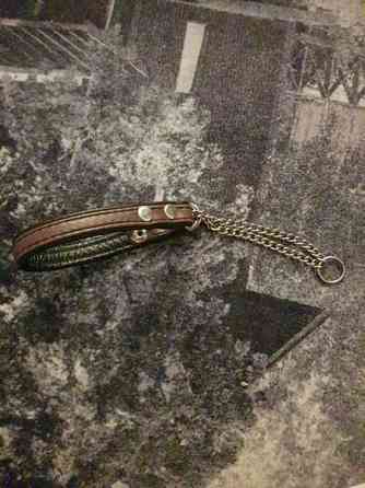 Pienen koiran nahkapanta Kotka